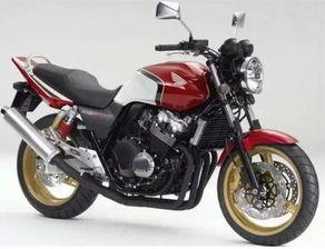 男女cb国产在线,探索网络社交的多元世界