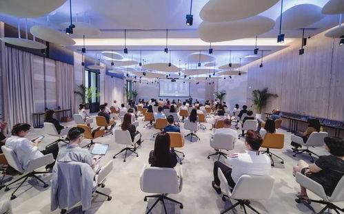 国产 酒店 在线播放,揭秘国内酒店行业新趋势