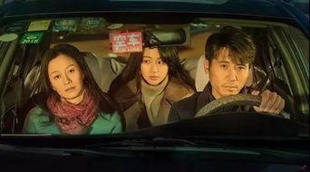 悬疑国产安妮在线观看,惊悚疑云，真相难寻