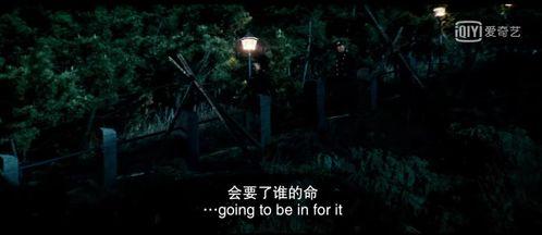 国产R级激情在线观看,禁忌之恋，激情燃烧的岁月