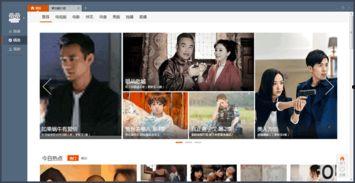 国产宅男看片在线电影网,揭秘看片在线电影网的魅力世界