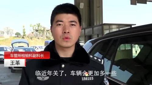 国产福拍在线观看