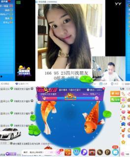 国产骚叫在线视频,揭秘网络直播的诱惑与风险