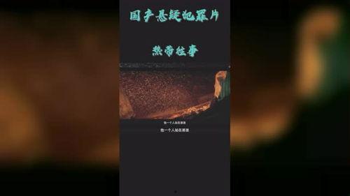 国产拼图悬疑片在线观看,国产悬疑片在线揭秘